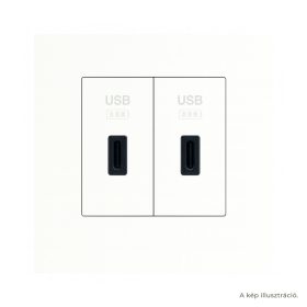   Fehér USB-C töltő, 1 modul x2 - komplett - q45 (2x45387_SBR+45910_TBR+45993)