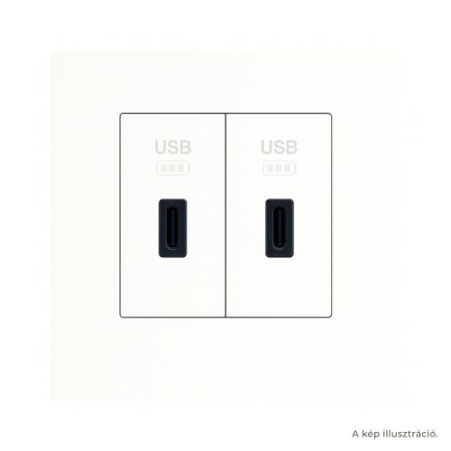 Fehér USB-C töltő, 1 modul x2 - komplett - q45 (2x45387_SBR+45910_TBR+45993)