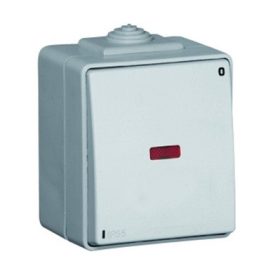   48023_CCZ IP65 Kétpólusú kapcsoló, ellenőrzőfénnyel szürke