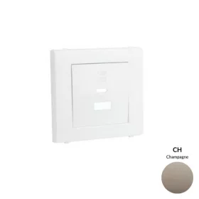   50674_TCH dupla töltő aljzat fedél (USB-A + USB-C), pezsgő