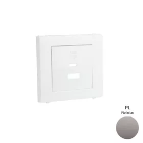   50674_TPL dupla töltő aljzat fedél (USB-A + USB-C), platina