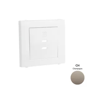 50675_TCH dupla töltő aljzat fedél (2x USB-C), pezsgő