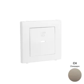 50676_TCH USB-C töltő aljzat fedél, pezsgő