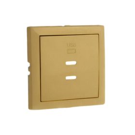 90675_TDU Fedlap dupla töltő aljzathoz (2x USB-C), arany