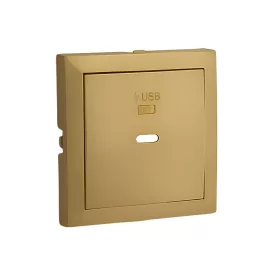 90676_TDU Fedlap USB-C töltő aljzathoz, arany