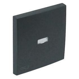   90794_TIS Egyes billentyű jelzőfényes kulcs jellel szürke